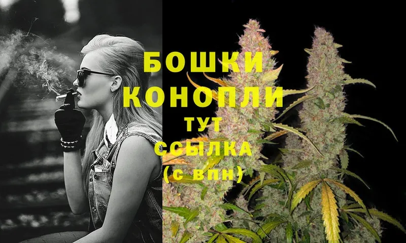 Бошки марихуана OG Kush  купить   Алапаевск 